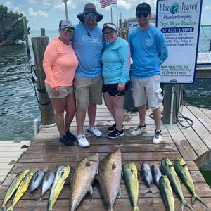 Meet your Posher, Dawn